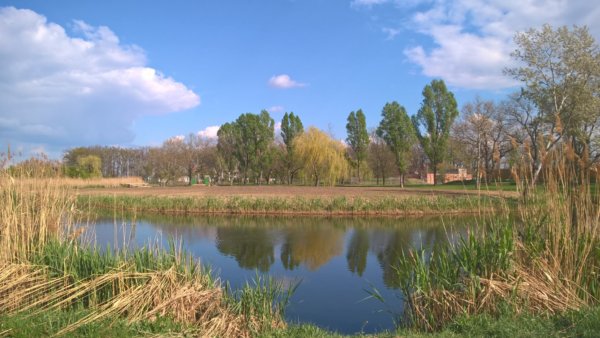 WP_20170405_15_18_27_Pro