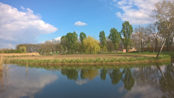 WP_20170405_15_19_33_Pro